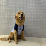 Mascote